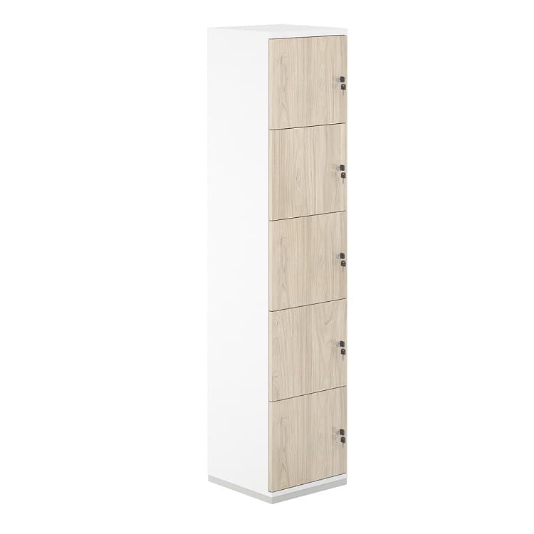 Шкаф-локер 5 ячеек Norden Allegro AG.232.WH.WH.AR